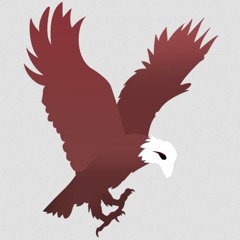 - Eagle Eye Productions -