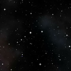 Maxicon