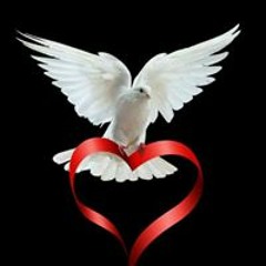 عائشة سالم بالي