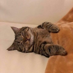 병우