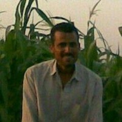 nassef