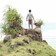 instrumental