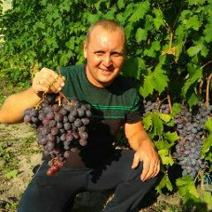 Oleg Pychkov
