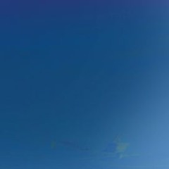 First Sky Piranha