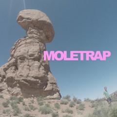 Moletrap