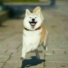 윤회장