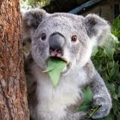 Isaac Herrera Fernández