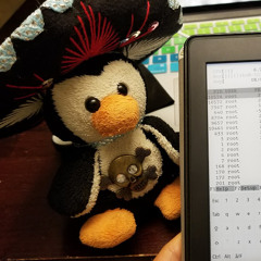 El Pingüino Frio
