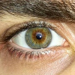 Daniele_•
