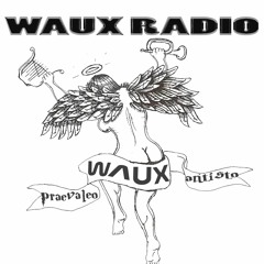 W.A.U.X. Radio