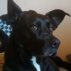 Kami-Kazee