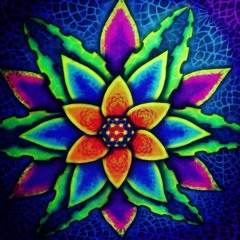 crazylotus