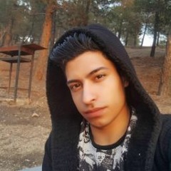 mahdi gholami