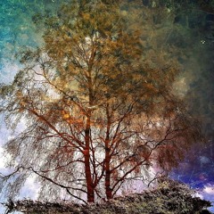 Psychedelic