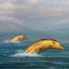 flying banana