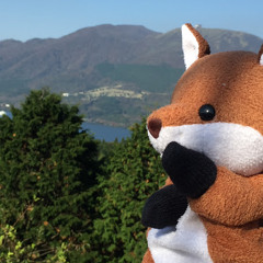 CH Tails (a slideshow creator)