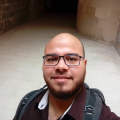 AbdElrahman Mostafa