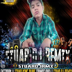 ♫ StUAR-DJ-REMIX ♛♫