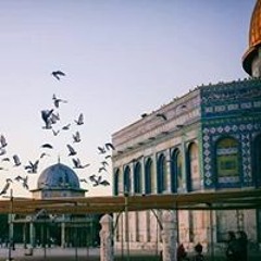 Safa Manasra