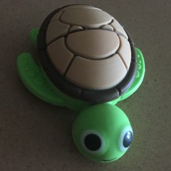 Lil Turt