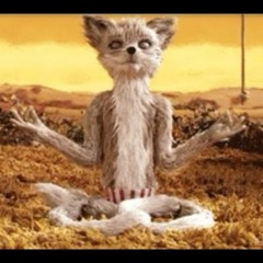 Jose Marcos González