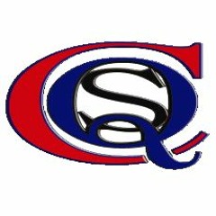 Christopher Collins - Voice Your Mind