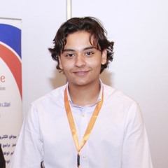 Ahmed Walid