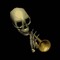 Dry Bones