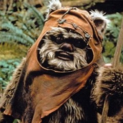 Ewok the gamer