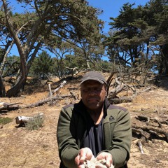 Virgilreality And The Known Unknowns