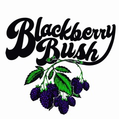 BLACKBERRY BUSH "YOUR NEW FAV GROUP"
