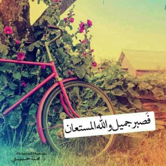 nemoo