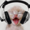 Andre_M