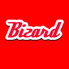 Bizard Vlogs