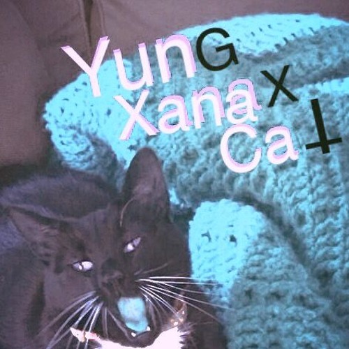 xanax for cats