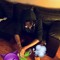 Kvng Diablo
