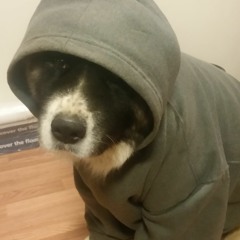 Fluffy Joe
