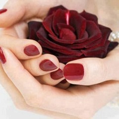 نور المدينة