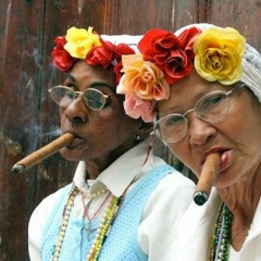 J'ai été ma propre route