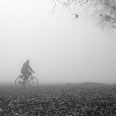 Parsali undilashvili