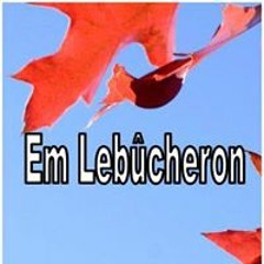 Emile Le Bucheron Lopez