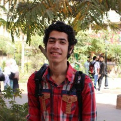 Mohamed Essam