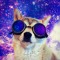 SpaceDoggo