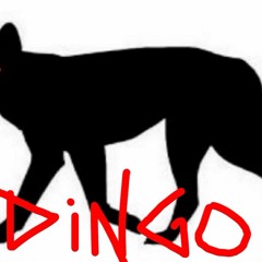 Dingo_