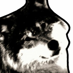 ON!XWOLF_