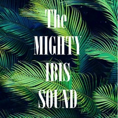 The Mighty Ibis Sound