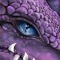 Drag0n Eye