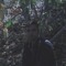 Distant.lo