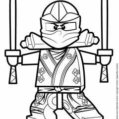 One Little Ninja