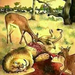 la legende de la jungle